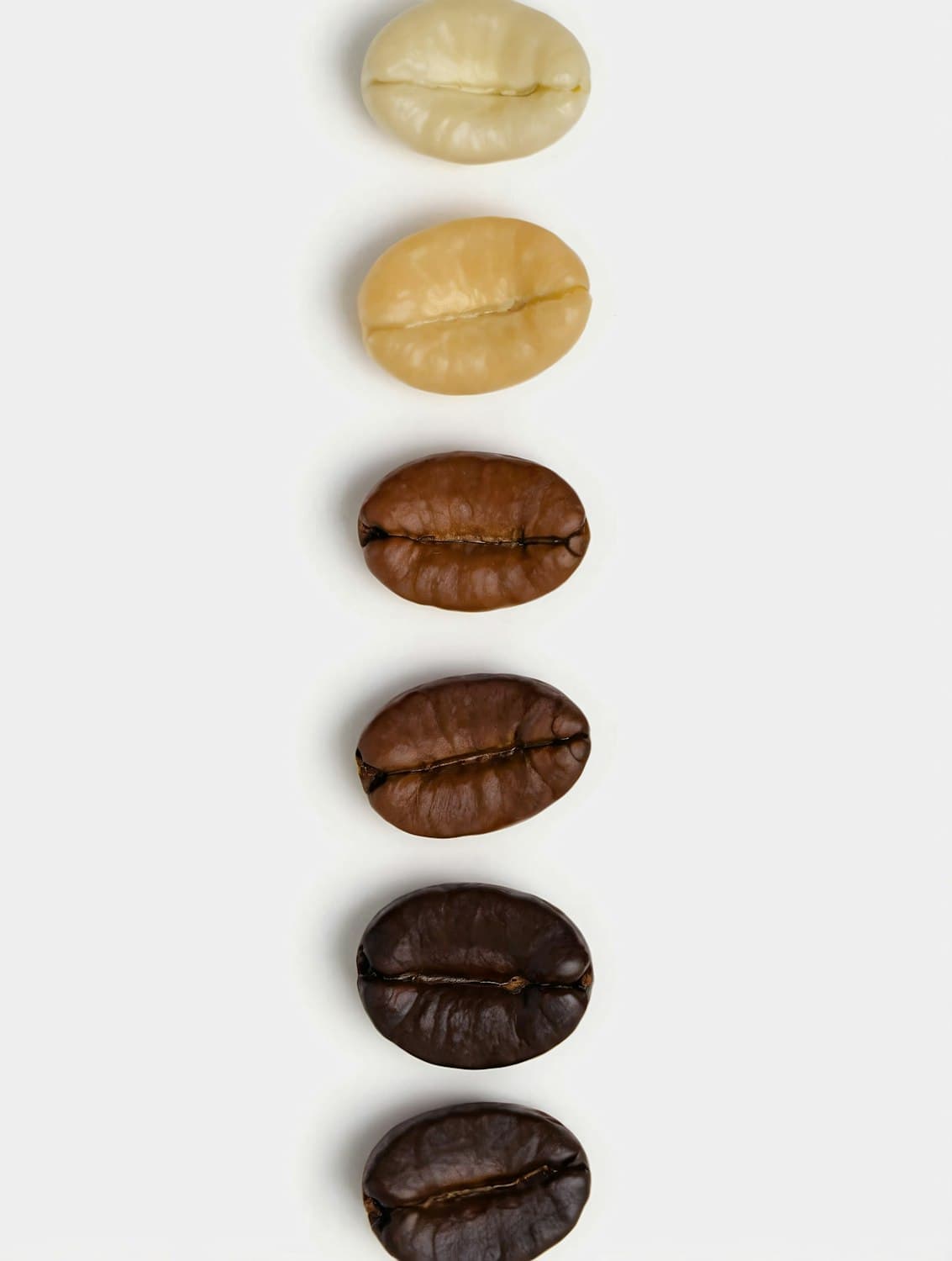 Seis grãos de café enfileirados, do verde claro ao torrado escuro