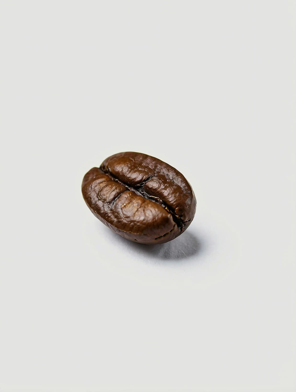 Um único grão de café de torra escura